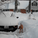Illustration for article titled The Ten Best Winter Car Hacks